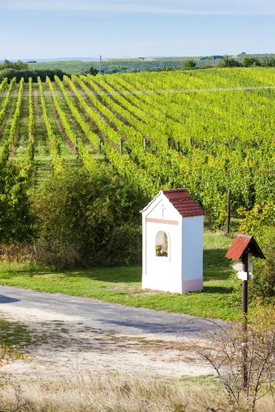 God's torture near Hnanice with vineyard, Southern Moravia, Cze — Zdjęcie stockowe