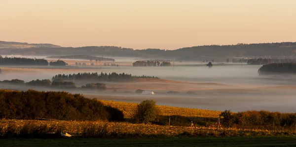 Autumnal landscape in fog, Sumava, Czech Republic — Stock Photo, Image