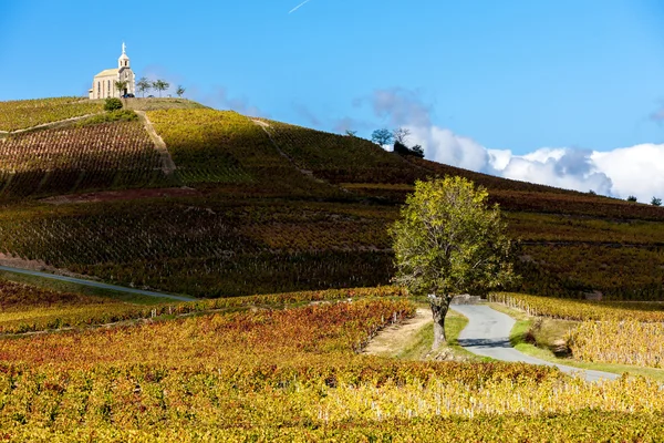 Vineyards grand cru in Beaujolais witha church, Fleurie — Stock Photo, Image