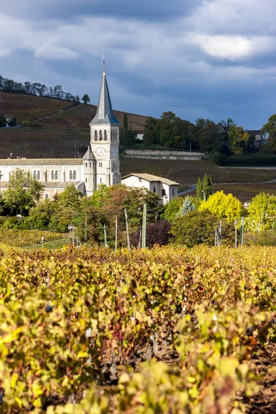 Chenas with vineyard, Beaujolais, Rhone-Alpes, France — Stock Photo, Image