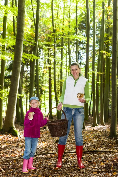 Mother with her daughter doing mushroom picking — Stock Photo, Image