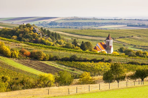 Church of Falkenstein with autumnal vineyards, Lower Austria, Au — Stock Fotó