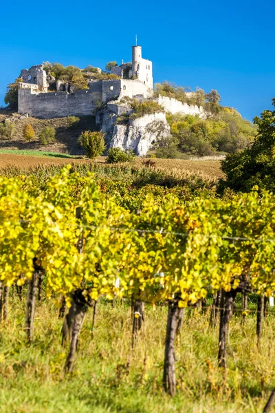 Rovine del Castello di Falkenstein con vigneto in autunno, Basso Austr — Foto Stock