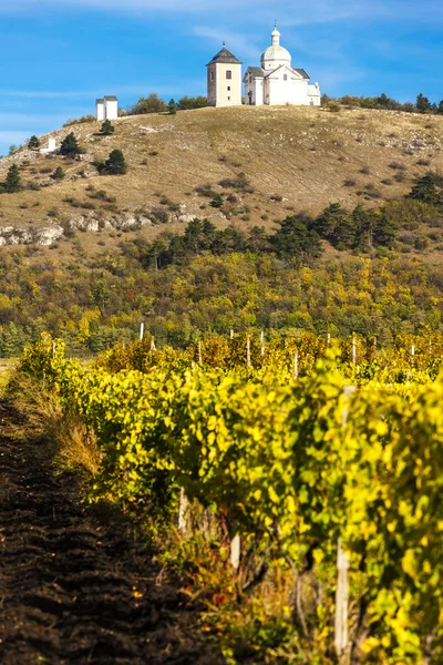 Calvario di Mikulov con vigneto autunnale, Repubblica Ceca — Foto Stock