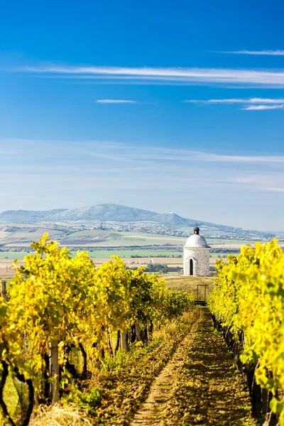 Capilla con viñedo cerca de Velke Bilovice, República Checa — Foto de Stock