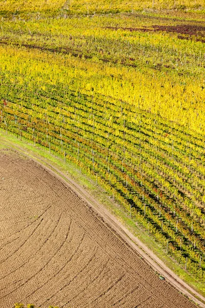 秋のブドウ畑の近く飛び Bilovice、チェコ共和国の眺め — ストック写真