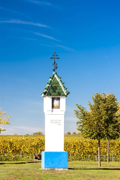 Tortura de Deus com vinha perto de Velke Bilovice, República Checa — Fotografia de Stock