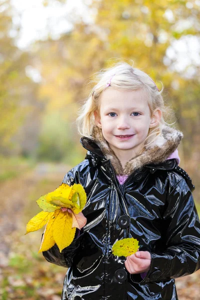 秋季性质的小女孩 — 图库照片