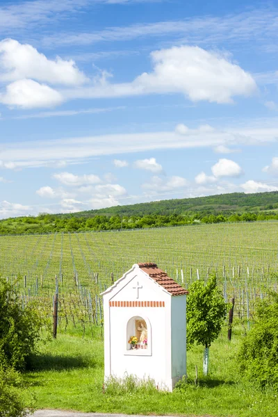 God's torture near Hnanice with spring vineyard — Stock Photo, Image