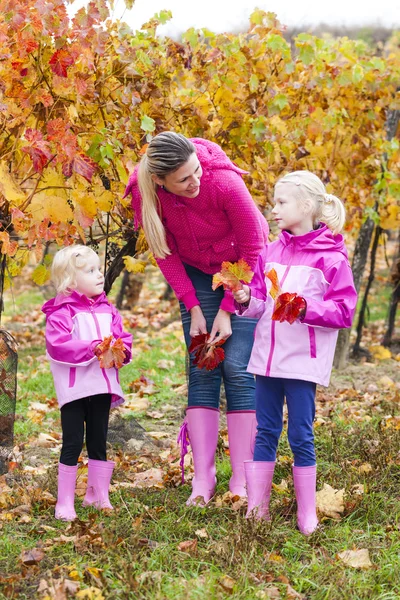 Mother and her daughters in vineyard — Stock Photo, Image