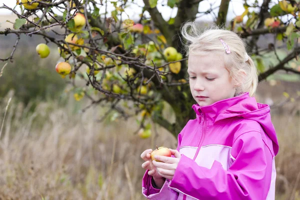 Little girl with autumnal apple tree holding an apple — Stock Photo, Image