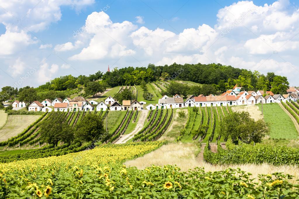 wine cellars with vineyards, Galgenberg, Lower Austria, Austria