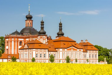 Cistercian Manastırı, mariansky Tynec'te, Çek Cumhuriyeti