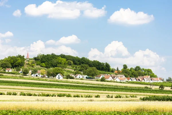 Vinkällare med fältet Galgenberg, Niederösterreich, Österrike — Stockfoto