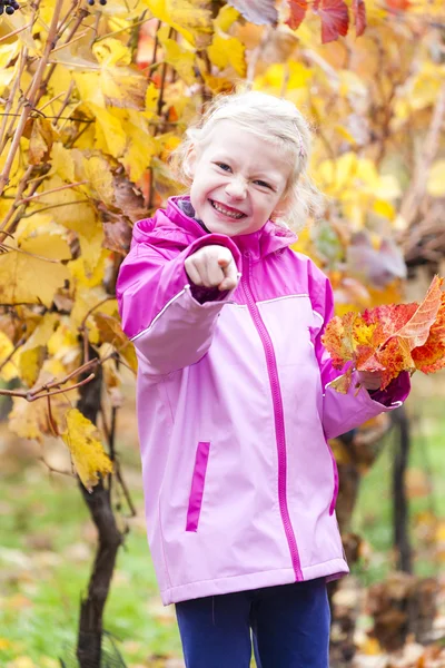Klein meisje in herfst wijngaard — Stockfoto