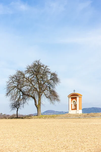 La torture de Dieu dans la région de Kokorin, République tchèque — Photo