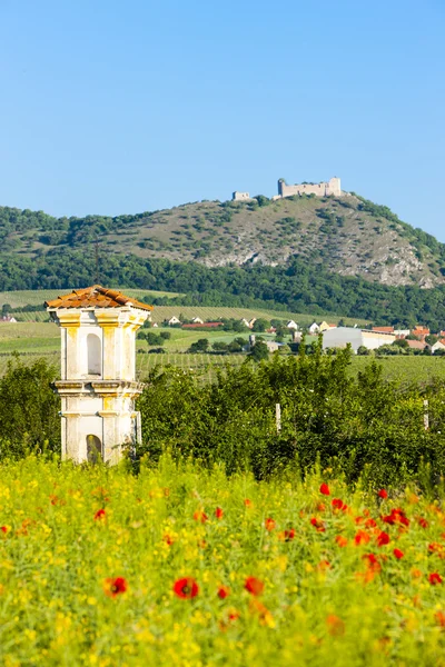 Rovine di Devicky castello con divinità tortura — Foto Stock