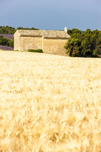 Capilla con campo de grano cerca de Entrevennes — Foto de Stock