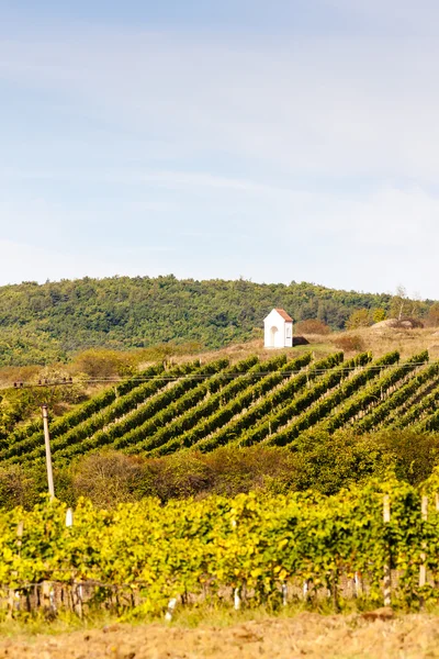 God's torture near Hnanice with autumnal vineyard — Stock Photo, Image