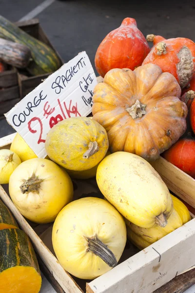 Pumpkins, market in Forcalquier, Provence — Stock Photo, Image