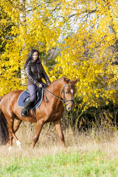 Lovas, a lovaglás az őszi természet — Stock Fotó