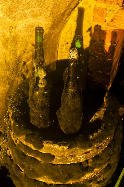Stilleven in wijnkelder, Tsjechië — Stockfoto