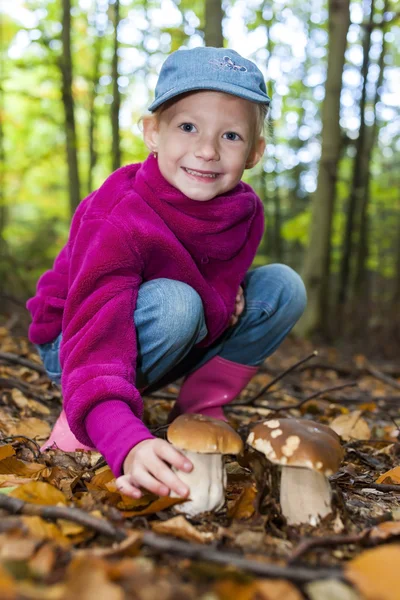 Paddestoelen plukken meisje in bos — Stockfoto