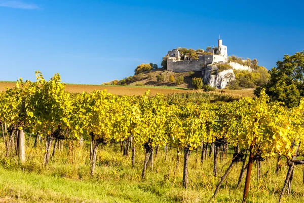 Ruins of Falkenstein Castle with vineyard in autumn — Stock Photo, Image