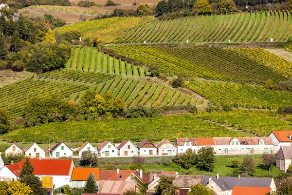 Weinkeller mit Weinbergen, Falkenstein, Niederösterreich, Österreich — Stockfoto