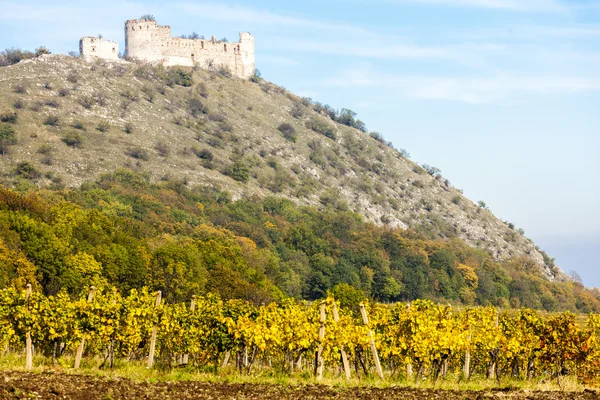 Ruínas do Castelo de Devicky com vinha no outono — Fotografia de Stock