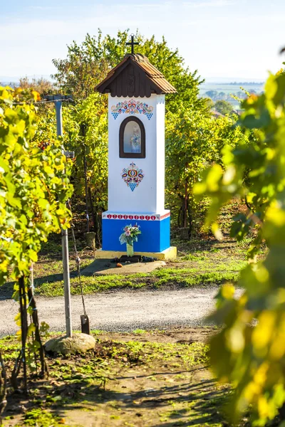 Goden foltering met wijngaard in de buurt van Nechory — Stockfoto