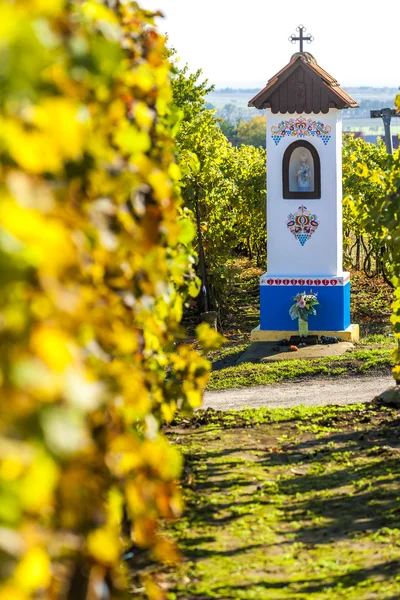 Dioses torturan con viñedo cerca de Nechory — Foto de Stock