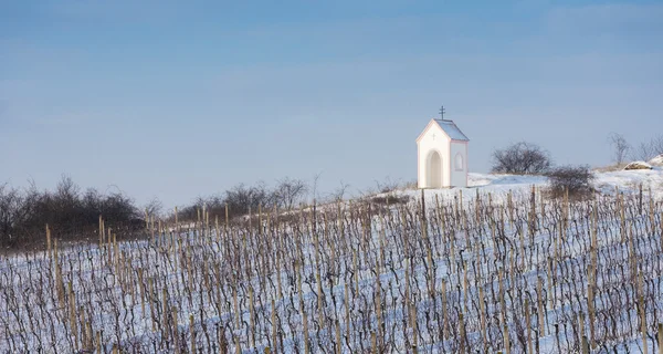 Vignoble d'hiver près de Hnanice, Moravie du Sud — Photo