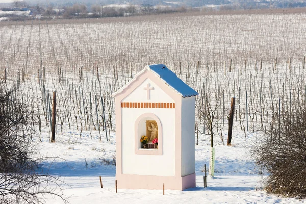 Tortura de Deus perto de Hnanice com vinha de inverno — Fotografia de Stock