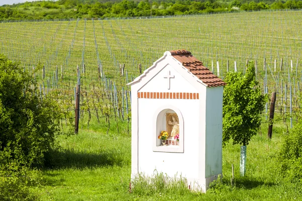 God's torture near Hnanice with spring vineyard — Stock Photo, Image