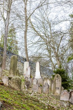 Yahudi Mezarlığı, trebic, Çek Cumhuriyeti