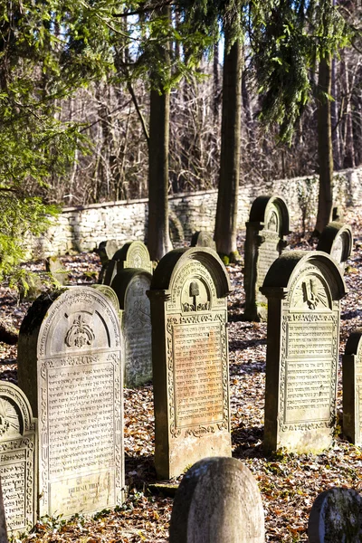 Cementerio judío, Luze, República Checa — Foto de Stock