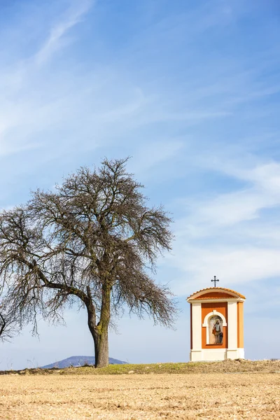 God 's torture in Kokorin Region, Czech Republic — стоковое фото