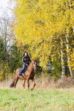 sonbahar doğa sırtında binicilik