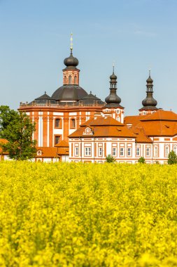 Cistercian Manastırı, mariansky Tynec'te