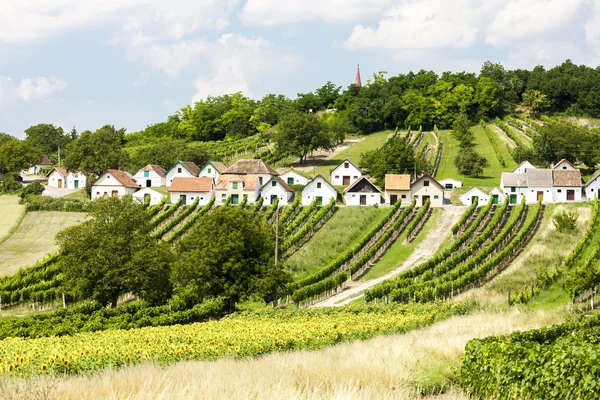Wine cellars with vineyards, Galgenberg — Stock Photo, Image