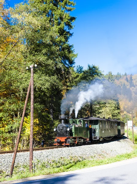 Comboio a vapor, Steinbach - Johstadt — Fotografia de Stock