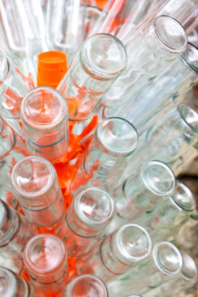 Empty bottles of wine on rack — Stock Photo, Image