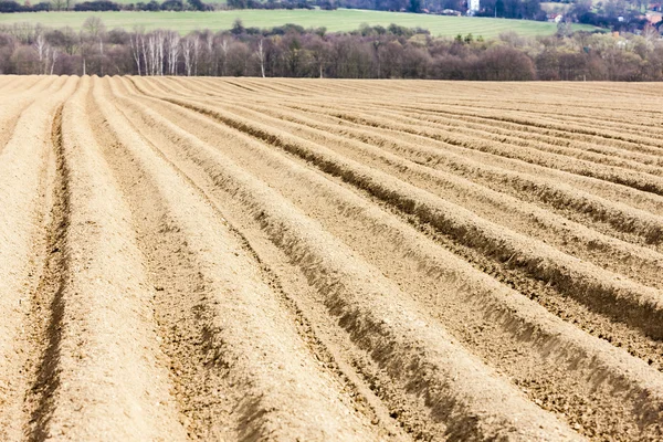 Paesaggio con campo — Foto Stock