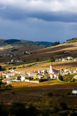 Köy Julienas Beaujolais üzüm bağları ile