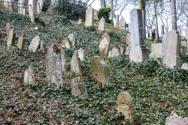 Jewish Cemetery, Trebic, Czech Republic — Stock Photo, Image