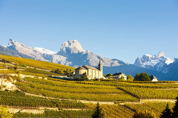 Vignobles sous l'église de Conthey, région de Sion — Photo