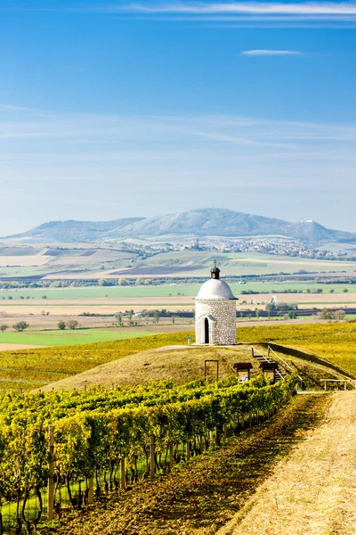 Chapelle avec vignoble près de Velke Bilovice — Photo