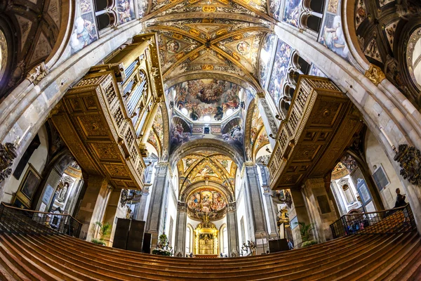 Interior de Catedral de Parma, Emilia-Romaña, Italia — Foto de Stock