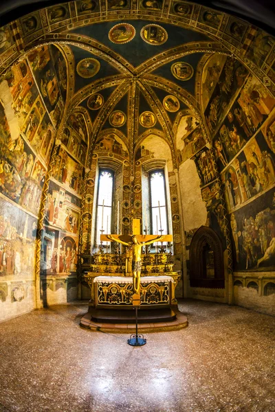 Интерьер кафедрального собора Пармы, Эмилия-Романья, Италия — стоковое фото